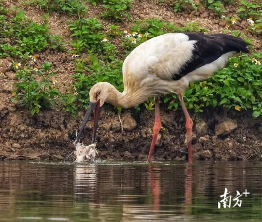 南方+ 肖雄 拍摄