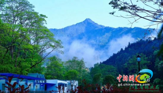 南雄帽子峰林场。十大网赌平台推荐网站 供图