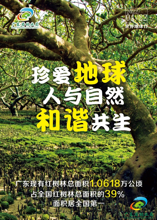 转存图片