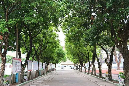 AAAA