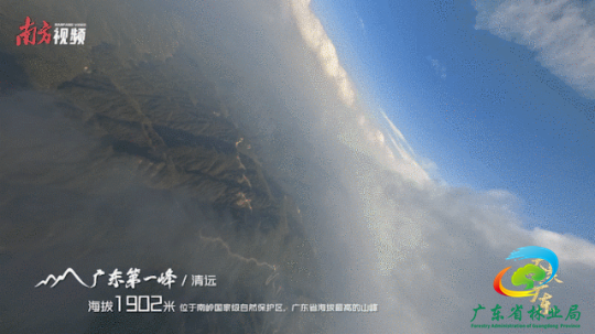南方+ 张由琼 拍摄