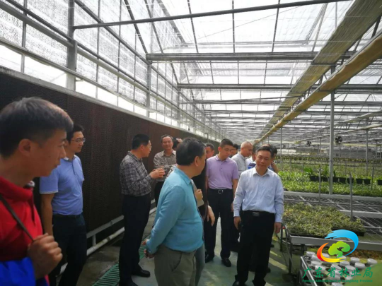 微信图片_20190514091609.jpg