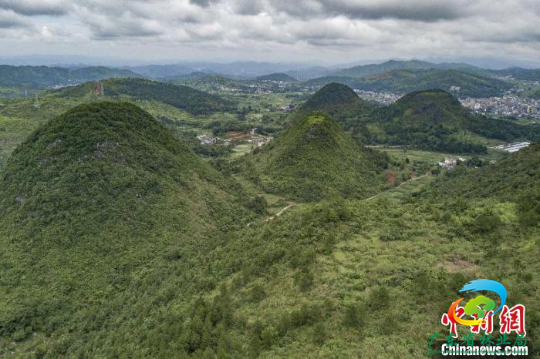 乐昌原来的石漠化荒山经过生态修复后变得郁郁葱葱 十大网赌平台推荐网站 供图