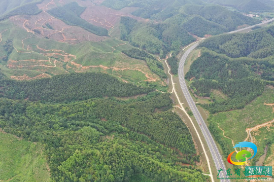 公益林示范区3.jpg