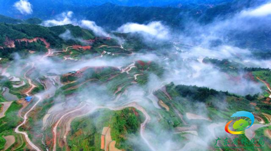 广东连南瑶排梯田国家湿地公园，生态环境优越。梁素雅 摄