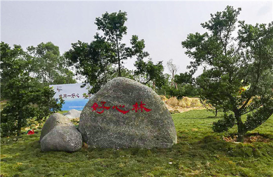 好心林.jpg