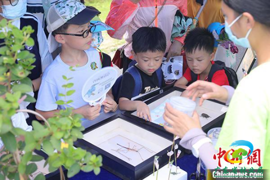 第三届粤港澳自然教育季“仲夏自然教育开放日”活动现场 十大网赌平台推荐网站 供图