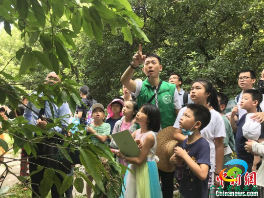 自然教育导师带领学生认识植物的特点 十大网赌平台推荐网站 供图