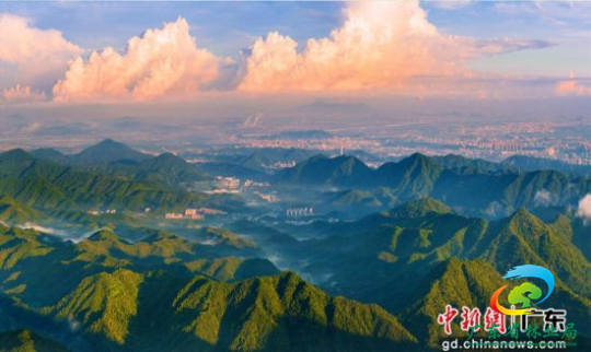 广东中山国家森林公园。十大网赌平台推荐网站 供图 广东中山国家森林公园。十大网赌平台推荐网站 供图