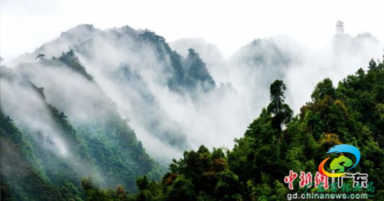 广东南岭国家级自然保护区。十大网赌平台推荐网站 供图