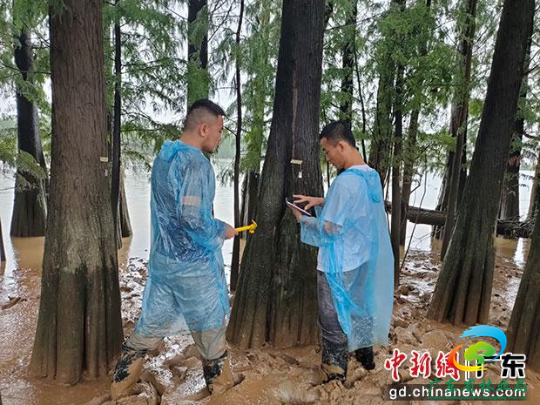 十大网赌平台推荐网站林业调查规划院工作人员开展林草湿资源监测。十大网赌平台推荐网站 供图