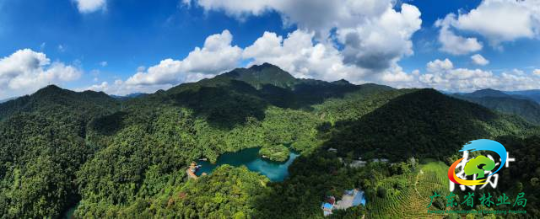 肇庆鼎湖山。