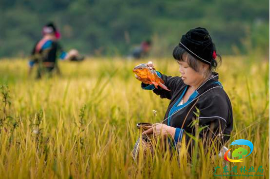 image.png?x-oss-process=style/w10