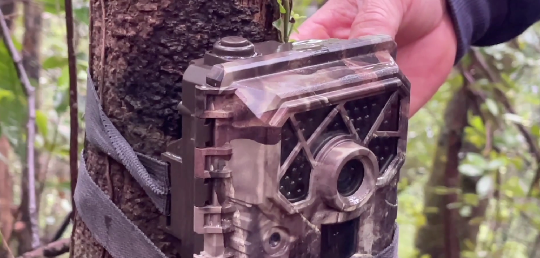 1673158398893008.png 图片