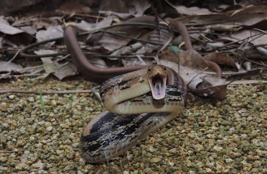 1673158419433607.jpg 图片