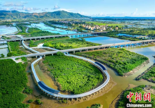 广东阳东寿长河红树林国家湿地公园 十大网赌平台推荐网站 供图