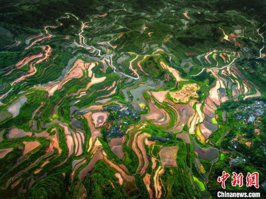 广东连南瑶排梯田国家湿地公园 十大网赌平台推荐网站 供图