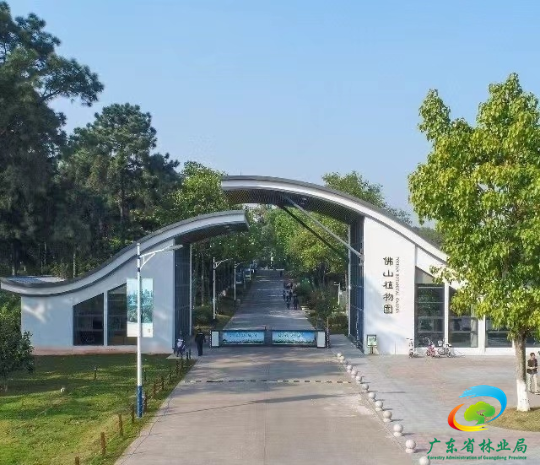 佛山植物园外景。资料图片 佛山植物园外景。资料图片