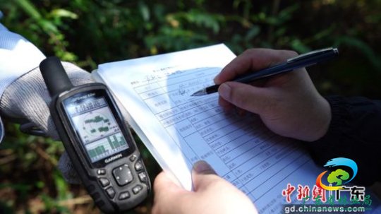 外业调查登记。十大网赌平台推荐网站 供图
