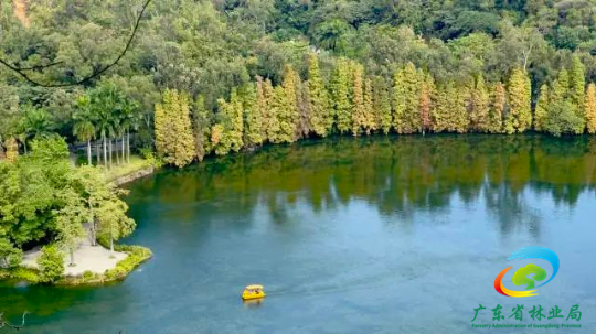七星岩景区内,一艘小船在碧绿的湖面泛起涟漪。南方+卢逸轩 摄 图片