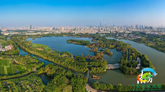 该主题强调了修复丧失和退化的湿地迫在眉睫，并呼吁全社会共同参与并采取措施，修复退化湿地。