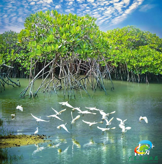 2023年2月2日是第27个世界湿地日，今年世界湿地日的主题是“湿地修复”。