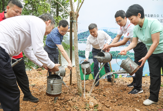 2023年5月6日，领导嘉宾参加肇商共建“民企林”主题活动。西江日报记者  梁小明  摄.JPG