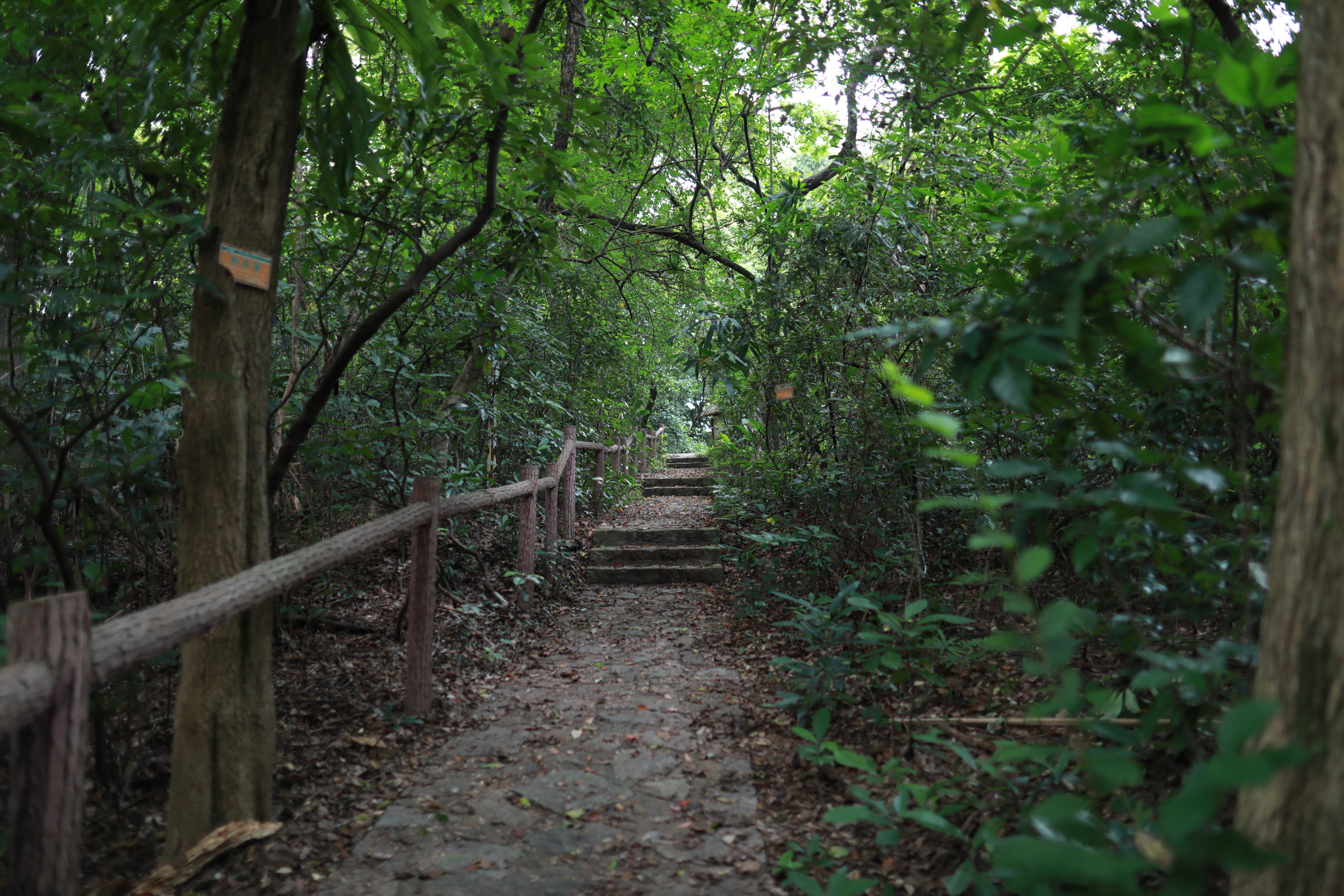 1.华南植物园蒲岗自然教育径.jpg