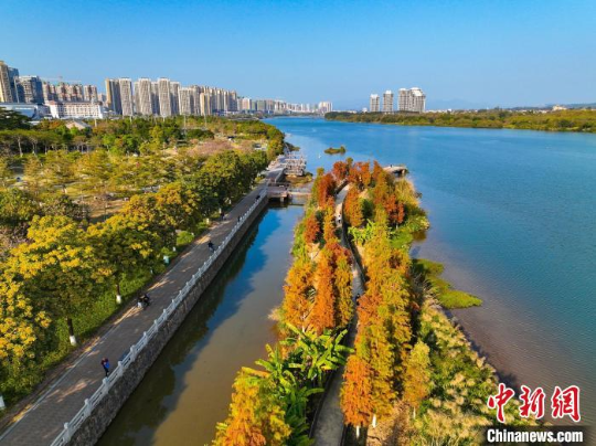 城市风光 十大网赌平台推荐网站 供图