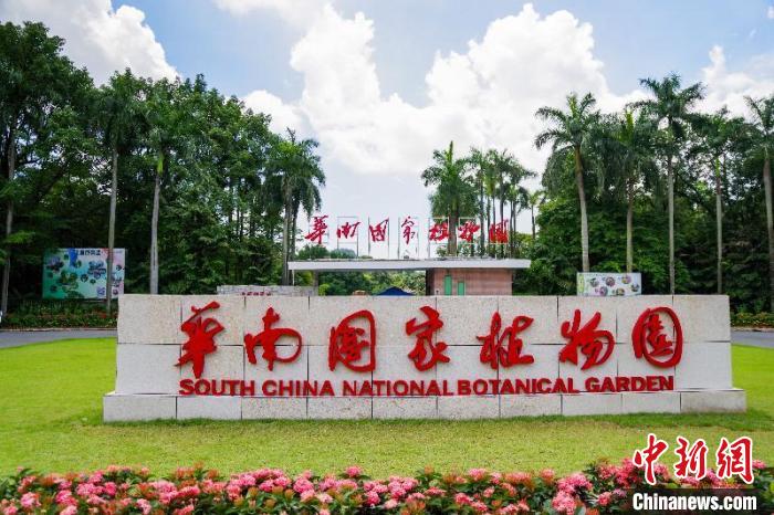 华南国家植物园 十大网赌平台推荐网站 供图