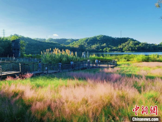 广东中山国家森林公园 十大网赌平台推荐网站 供图