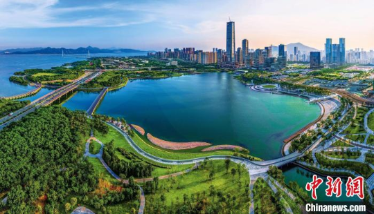 深圳市森林城市建设效果显著 十大网赌平台推荐网站 供图