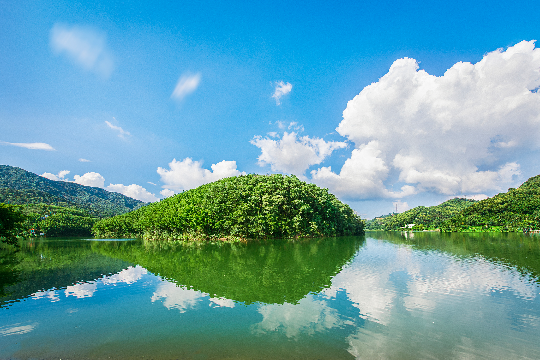 筲箕窝林地.jpg