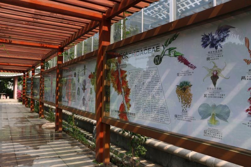 馨香自然教育径——兰花科普长廊.jpg