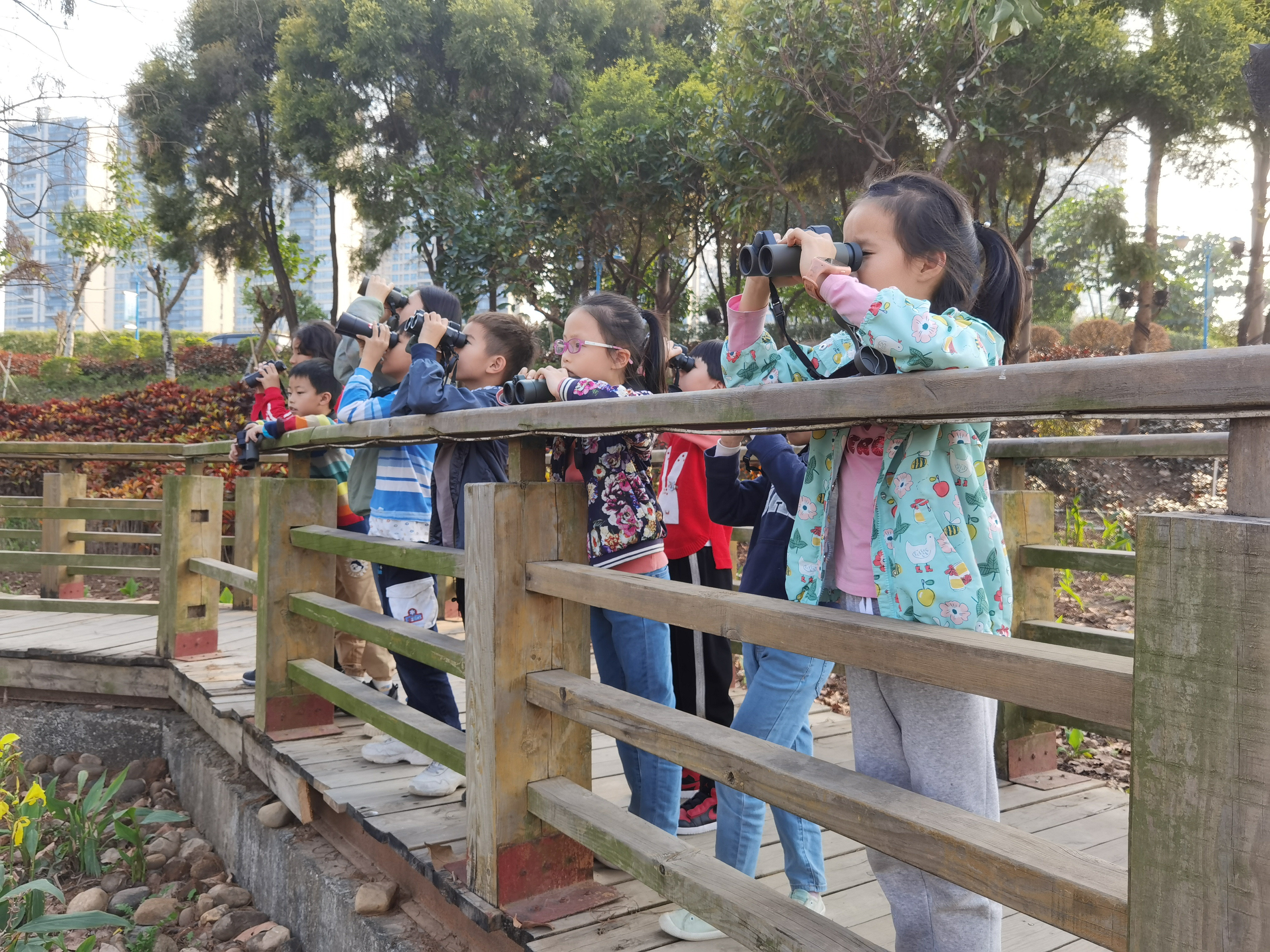 自然教育活动 (2).jpg