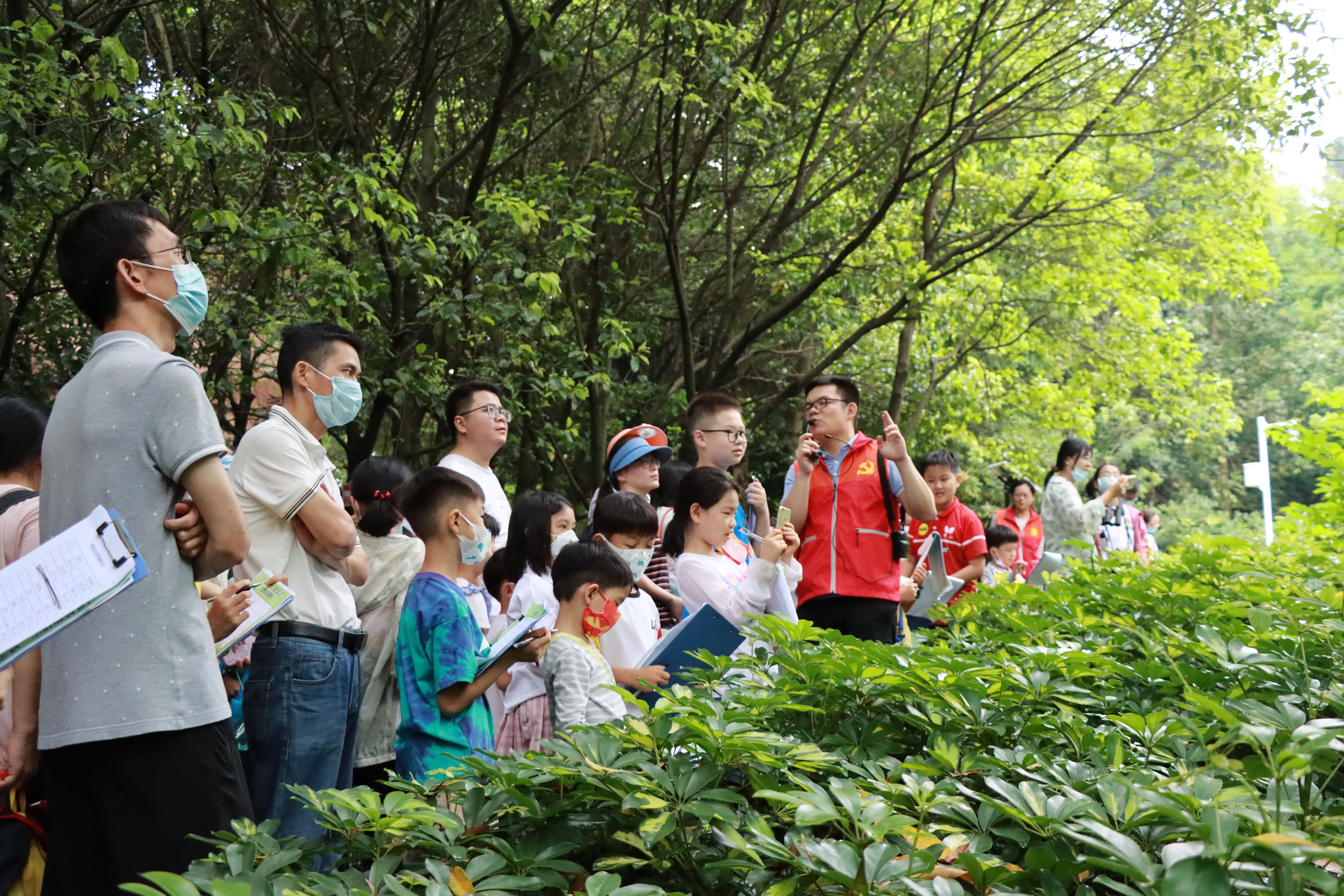 植物导赏3.JPG