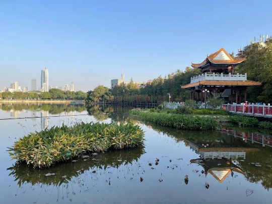 东山湖公园小微湿地.png?x-oss-process=style/w10