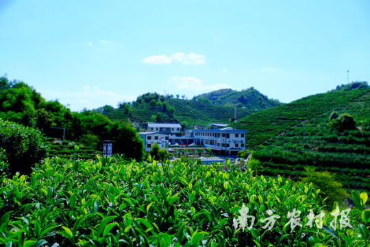 东源县云上仙湖民宿服务有限公司