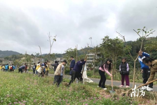 茂名植树活动如火如荼。