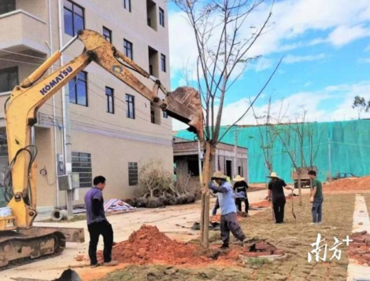 信宜市水口镇干群在房屋边沿植树。