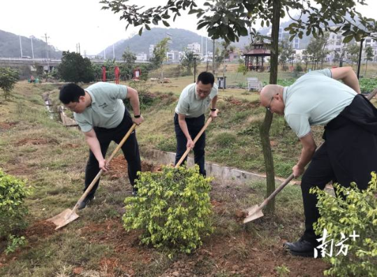 2024年伊始,茂名全市各地掀起种树热潮。