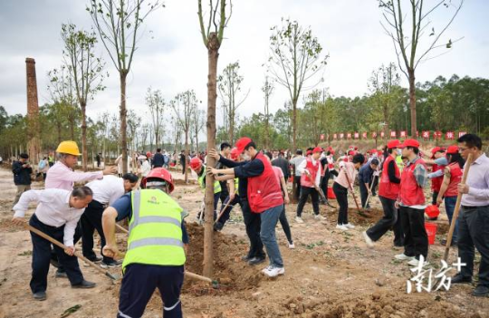 2024年春节后首个工作日,茂名市领导及市直机关干部、群众等200多人在茂名露天矿生态公园植树。吴昊 摄