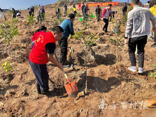东莞开展义务植树活动 东莞开展义务植树活动