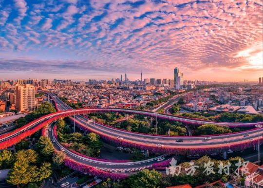 广州空中花廊建设 广州空中花廊建设