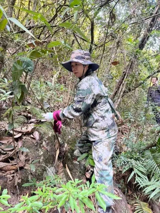 谢绍丹在巡林。 图源潮州妇联  