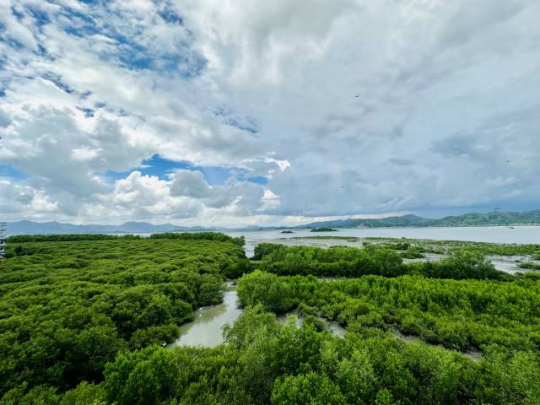 惠州好招楼湿地公园。