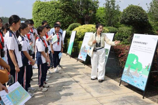 红树林巡展（广州南沙滨海省重要湿地） 