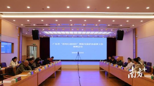 十大网赌平台推荐网站“清风行动2025”暨候鸟保护再部署工作视频会议。