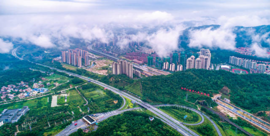 森林进城——中山火炬开发区。
