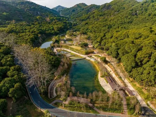 萤灯碧苑节点将打造为萤火虫保护试点区 萤灯碧苑节点将打造为萤火虫保护试点区